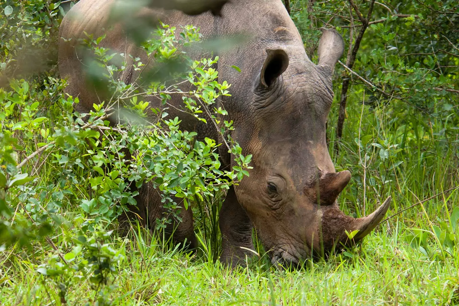 National Parks and Game Reserves